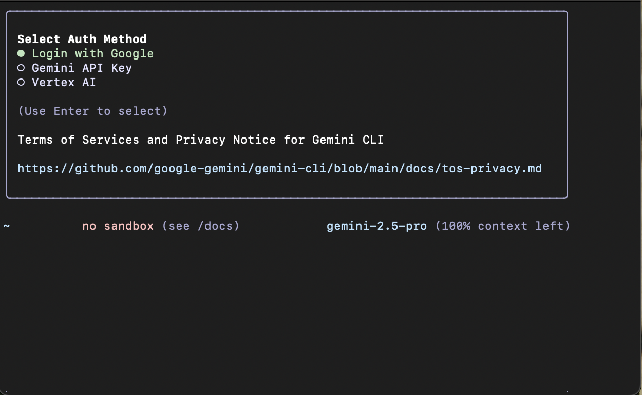Google authentication screen